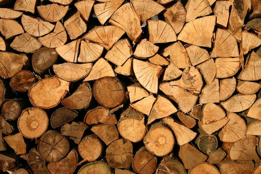 Natural organic textures, close-up